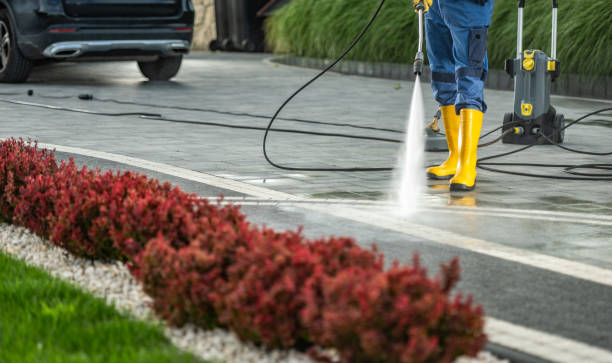 Best Best Pressure Washing Companies  in East Flat Rock, NC
